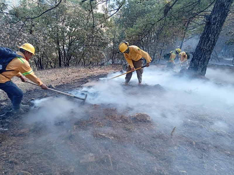 Controla Coesfo incendio forestal en Santa María Peñoles