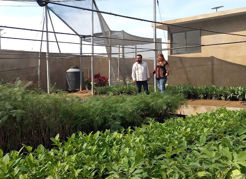 Pone Coesfo en marcha vivero en la nueva Estación de Transferencia de Residuos Sólidos Urbanos