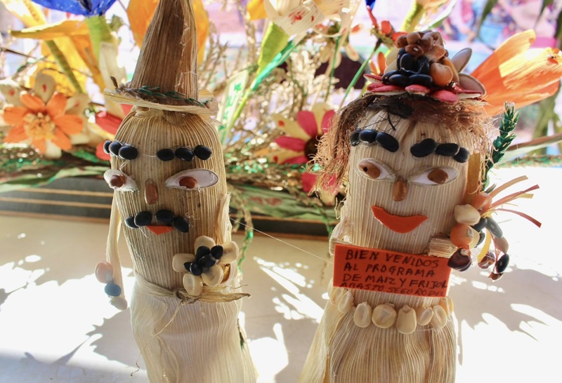 Resalta Sefader cultura entorno a cultivo de maíz con concurso de la “Mazorca Decorada” en Valles Centrales Resalta Sefader cultura entorno a cultivo de maíz con concurso de la “Mazorca Decorada” en Valles Centrales