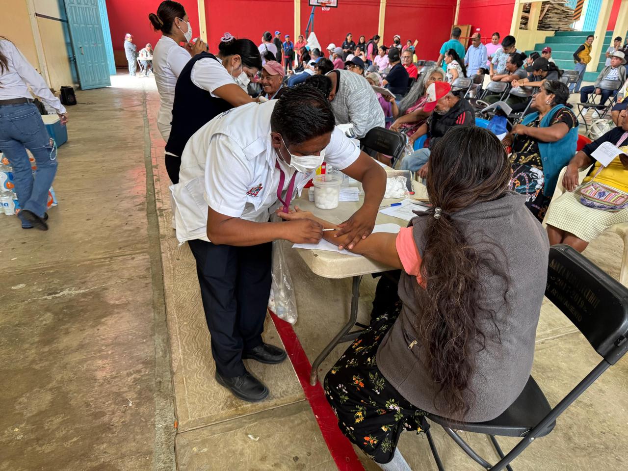 Oaxaca sin casos de rabia humana, resultado de estrategias de prevención: SSO Oaxaca sin casos de rabia humana, resultado de estrategias de prevención: SSO