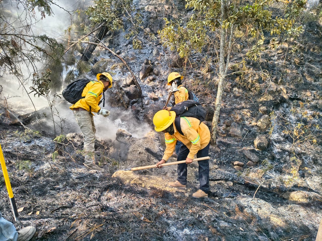 Se reporta incendio forestal en San Lorenzo Texmelucan