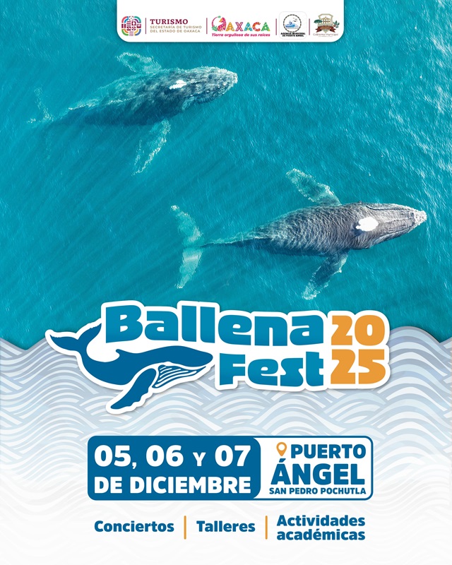 Invita Sectur Oaxaca al Ballena Fest 2025 en Puerto Ángel