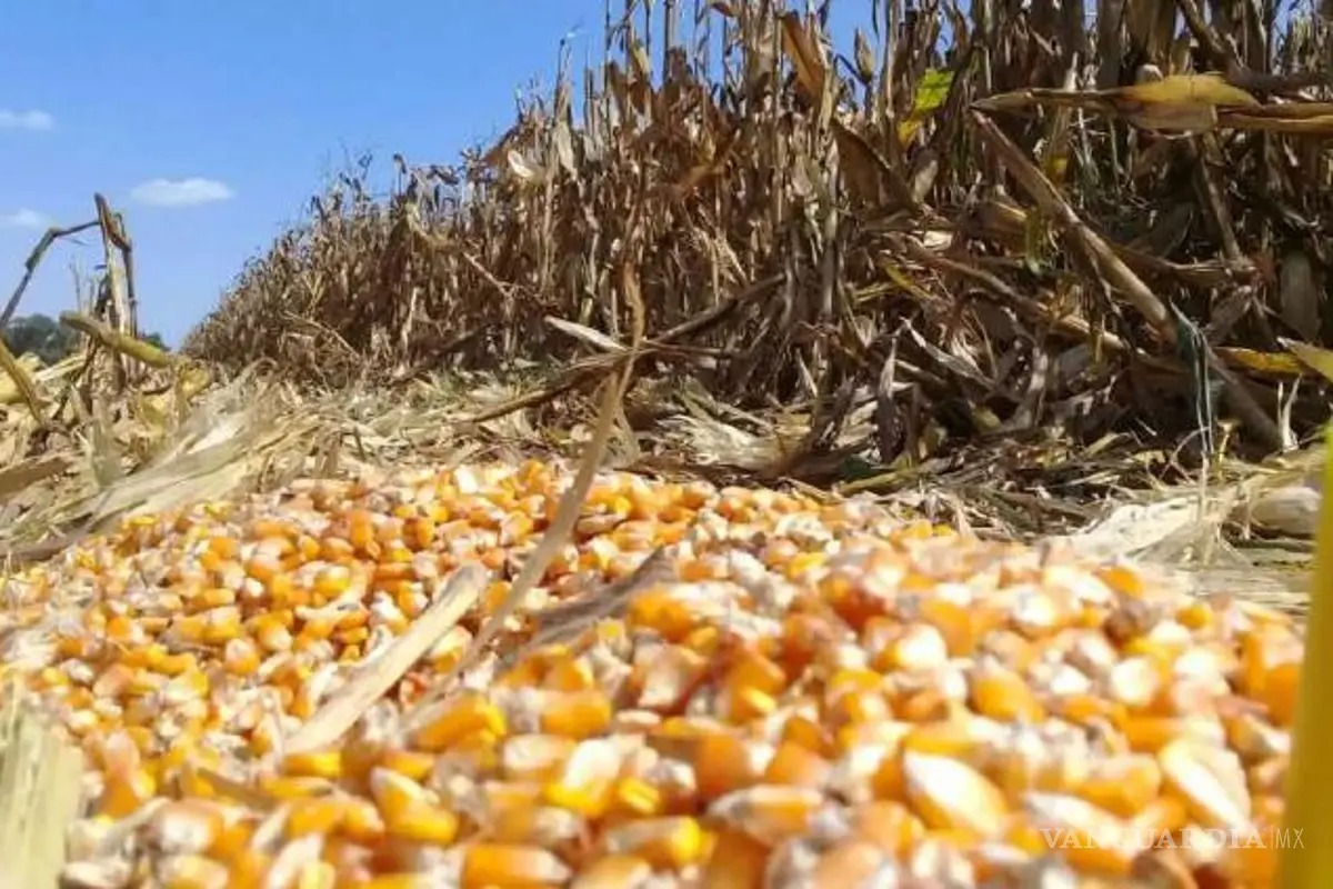 PROPUESTA DE PRODUCTORES ABRE RUTA DE CONFRONTACIÓN