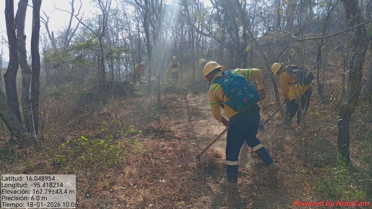Atiende Coesfo incendio forestal en Santo Domingo Tehuantepec
