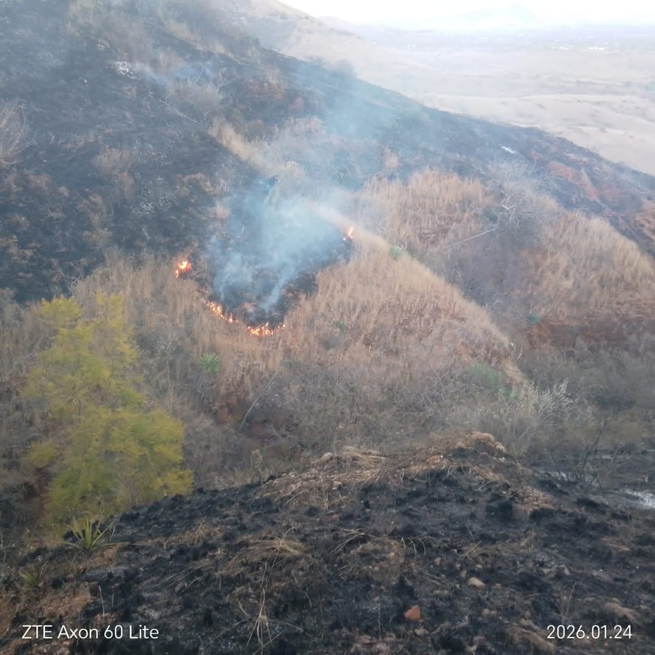 Liquida Coesfo incendio de pastizal en Zimatlán de Álvarez