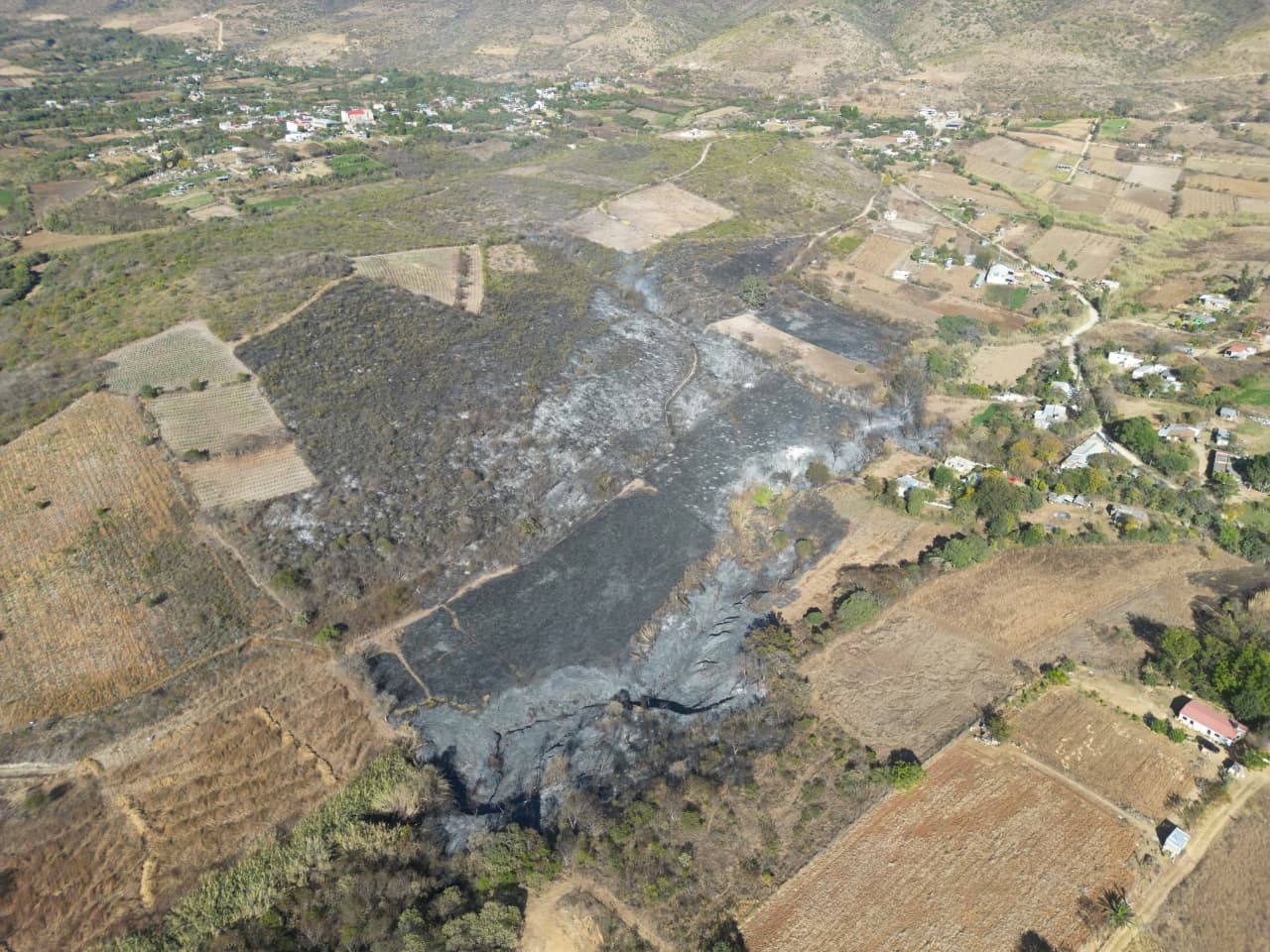 Liquidan incendio forestal en San Juan Bautista Guelache