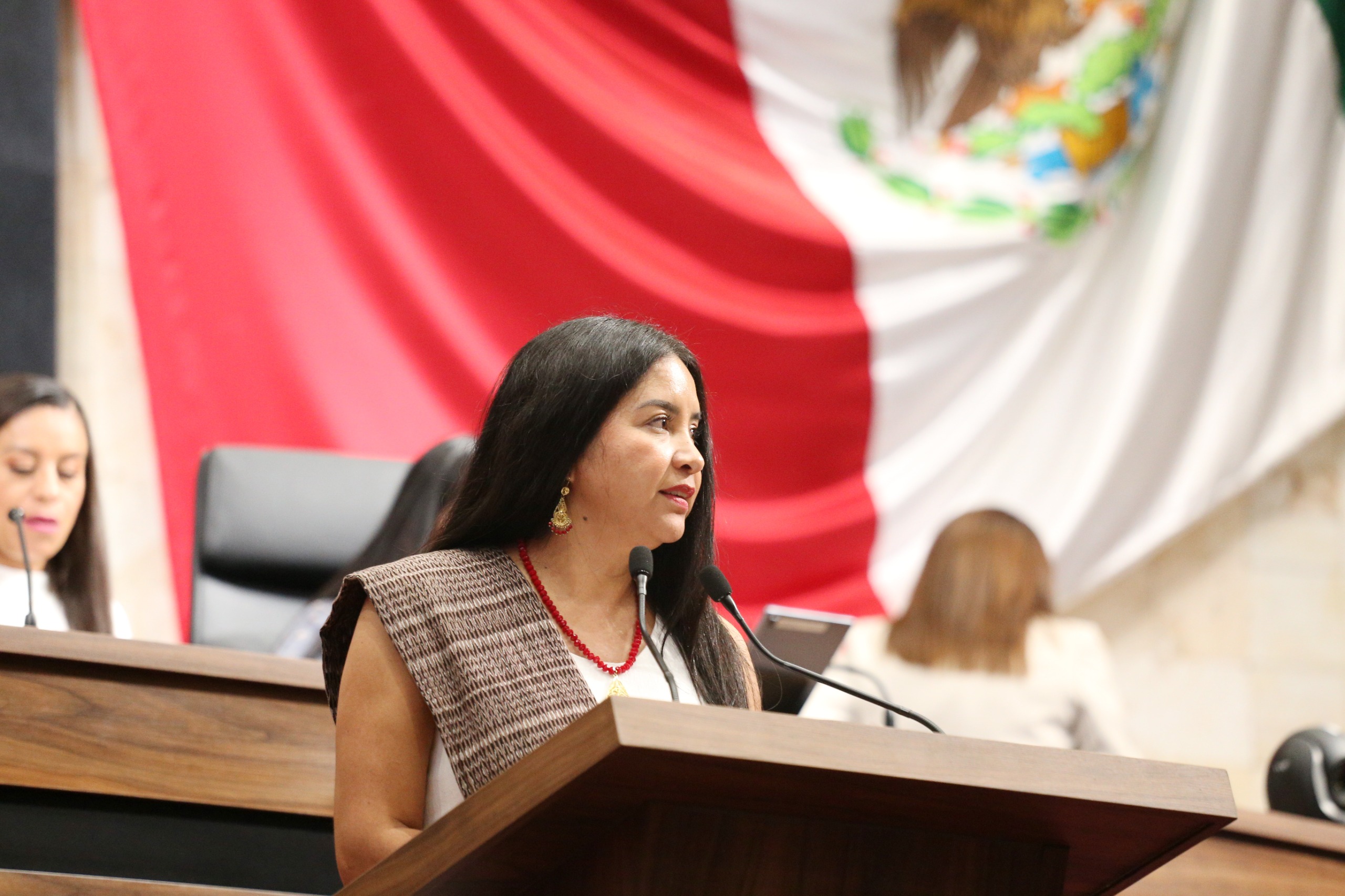 Diputada Elisa Zepeda presenta iniciativa para tipificar la tentativa de feminicidio en Oaxaca Diputada Elisa Zepeda presenta iniciativa para tipificar la tentativa de feminicidio en Oaxaca
