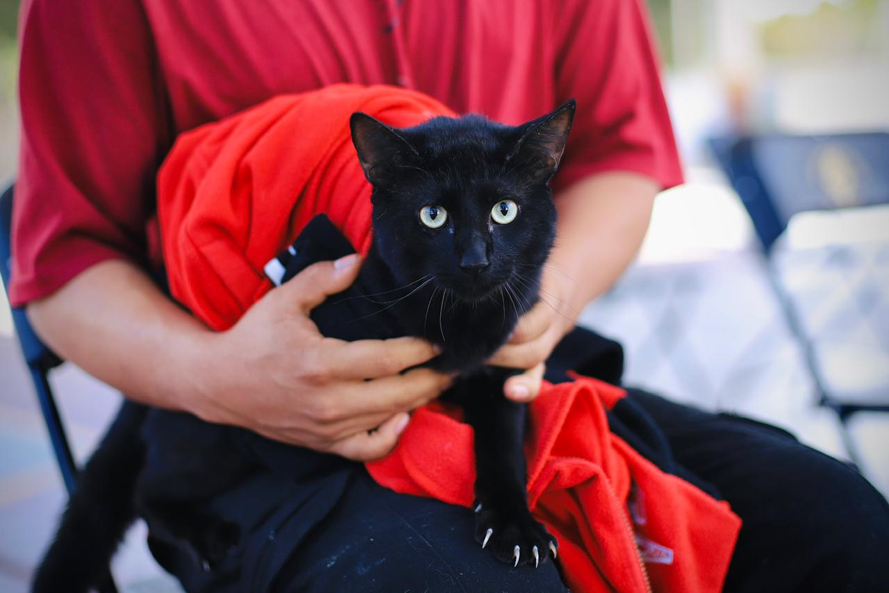 Por la salud de nuestras mascotas, arranca vacunación antirrábica gratuita en Xoxocotlán Por la salud de nuestras mascotas, arranca vacunación antirrábica gratuita en Xoxocotlán