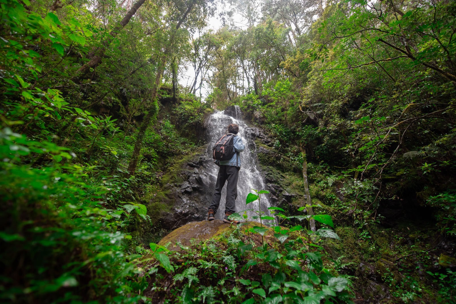 Pueblos Mancomunados de Oaxaca nominados en los Premios Excelencias 2025: Sectur Estatal