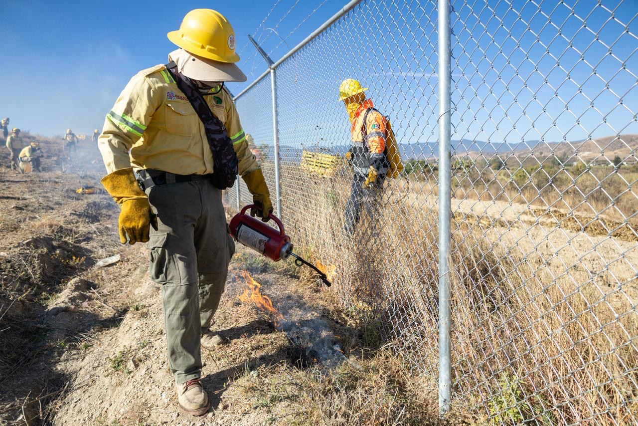 Reportan incendio Forestal en Santa María Atzompa