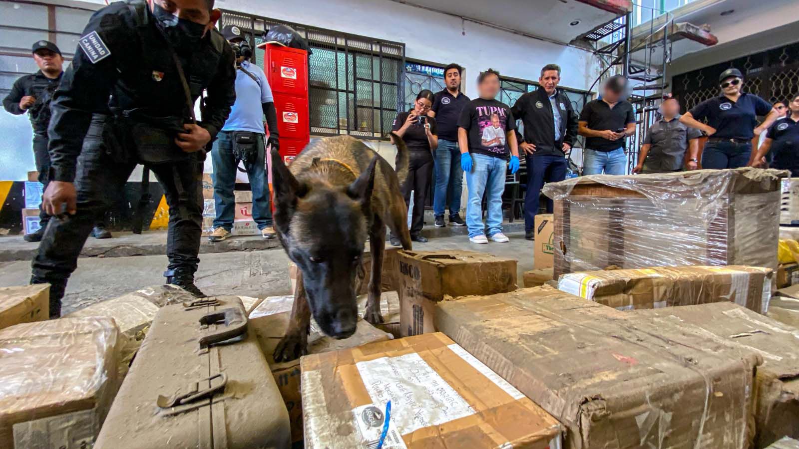 EN RED DE PAQUETERIA DE OAXACA, HALLAN CARTUCHOS, ARMAS Y DROGAS EN ENVIOS