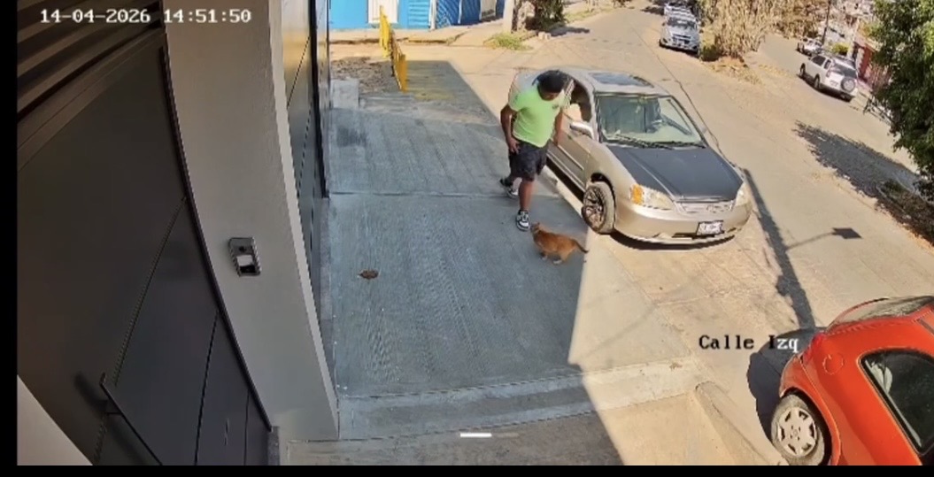 EXHIBEN EN REDES EN OAXACA SUJETO QUE COMETIÓMALTRATÓ EN CONTRA DEL GATO TRIPITA Y FUE DETENIDO