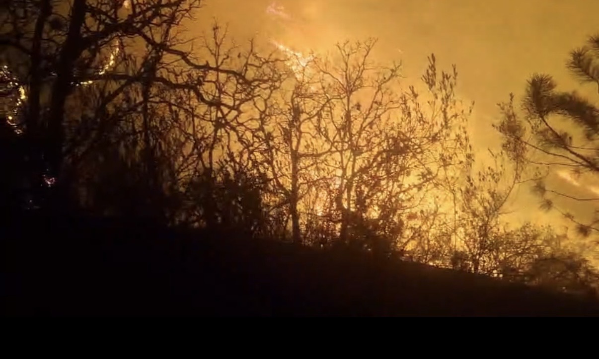 ALTAS TEMPERATURAS MANTIENEN 4 INCENDIOS  ACTIVOS EN LA SELVA DE LOS CHIMALAPAS