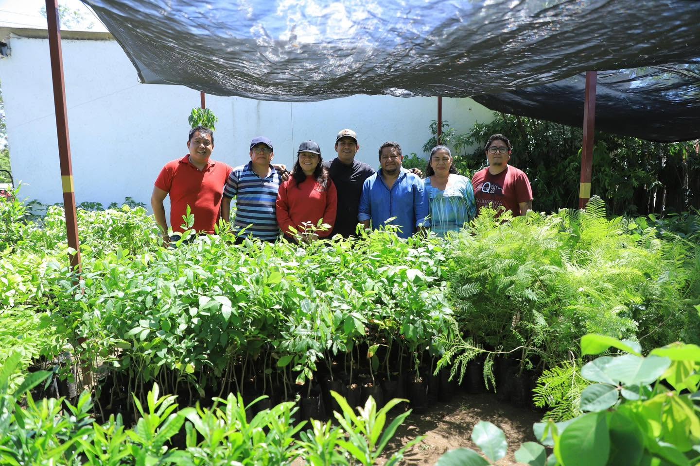 Recibe Xoxocotlán árboles para impulsar la reforestación urbana Recibe Xoxocotlán árboles para impulsar la reforestación urbana