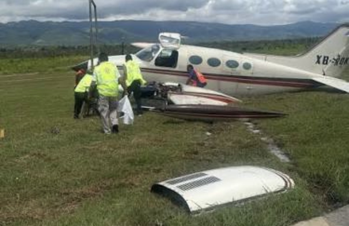 BUSCARA OAXACA INTENIFICAR LOS SOBREVUELOS CON MOSCAS ESTERILES PARA DETENER LA RED DE TRAMISION DEL GUSANO BARRENADOR BUSCARA OAXACA INTENIFICAR LOS SOBREVUELOS CON MOSCAS ESTERILES PARA DETENER LA RED DE TRAMISION DEL GUSANO BARRENADOR