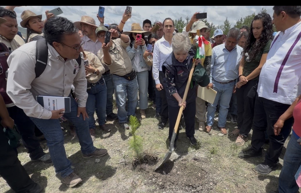 CON REFORESTACIÓN MASIVA SE ENFRENTAN LAS CAUSAS QUE  GENERA LA CRISIS CLIMÁTICA