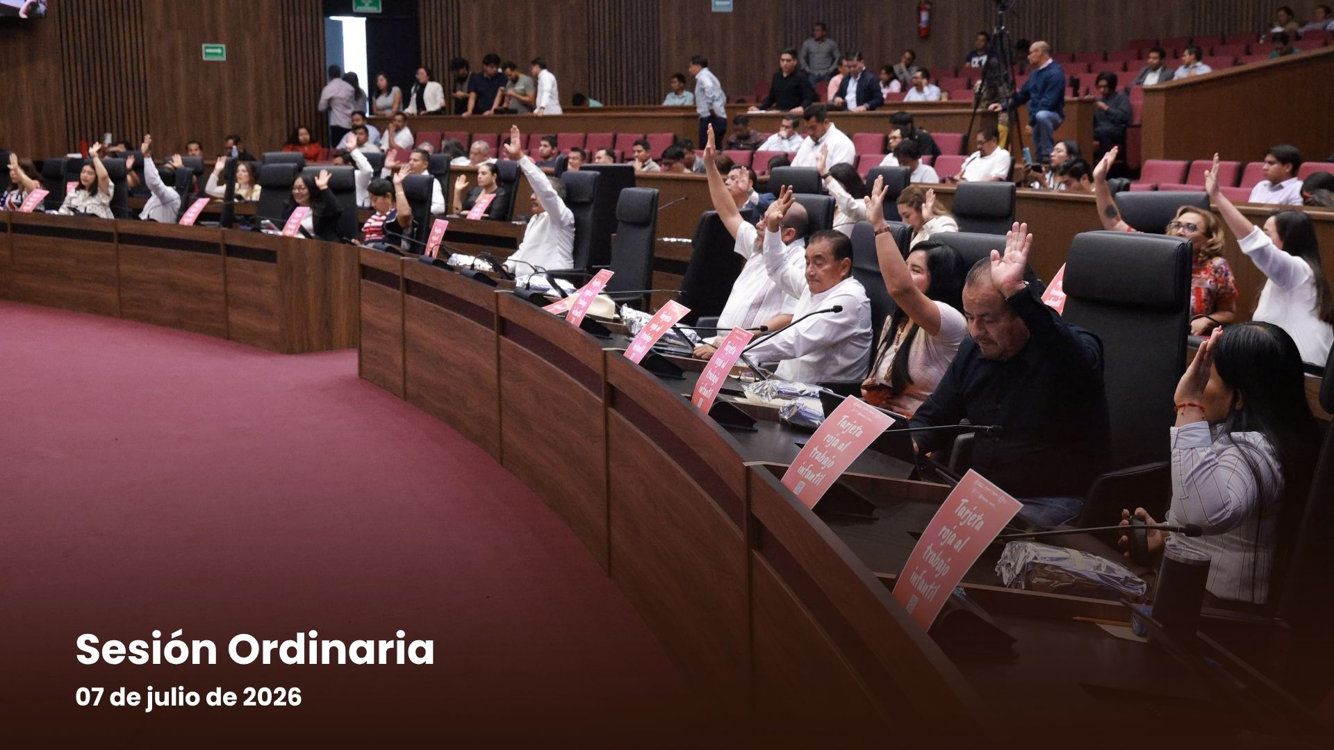 Reforman Ley Orgánica Municipal para crear Comisiones de Protección Animal en municipios con más de 100 mil habitantes Reforman Ley Orgánica Municipal para crear Comisiones de Protección Animal en municipios con más de 100 mil habitantes