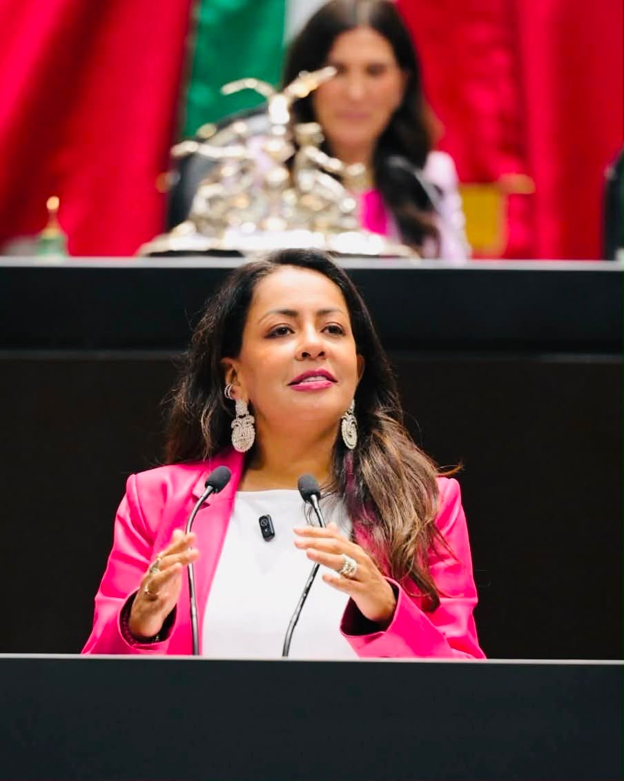 Avanza iniciativa de Mariana Benítez para reconocer y visibilizar el duelo gestacional, perinatal y neonatal