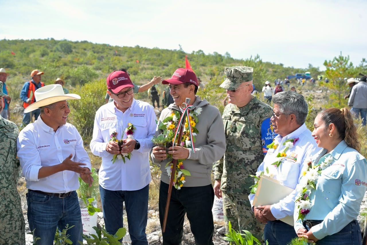 En jornada de reforestación para revertir el cambio climático siembra el gobernador Salomón Jara mas de 20 mil plantas nuevas