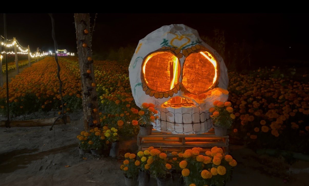 OAXACA ENTRE LOS HOTELES DE LUJO Y EL AUGE DEL AIRBNB A LA CAZA DEL TURISMO DE TEMPORADA EN FESTEJO DE TODOS SANTOS