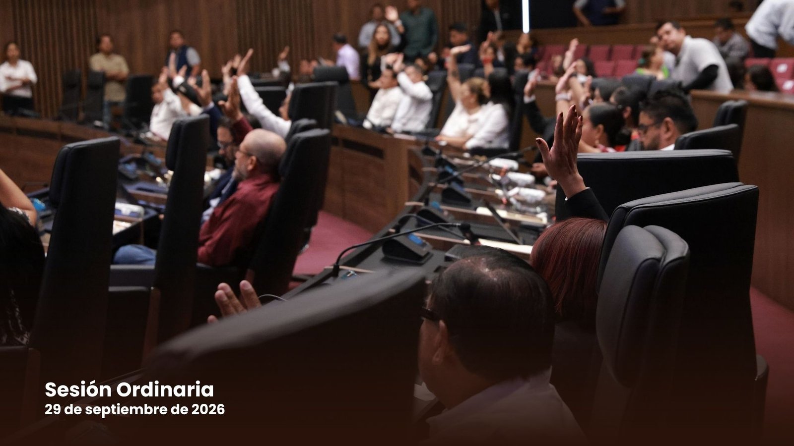 Poder Legislativo exhorta a investigar actuación municipal durante actividad “Nenis a la Mexicana” Poder Legislativo exhorta a investigar actuación municipal durante actividad “Nenis a la Mexicana”